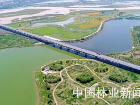 宁夏310万亩湿地扮靓城乡