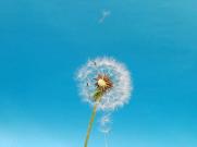 吉林理顺自然保护地管理体制