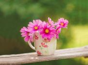 袁隆平：“禾下乘凉梦”会由年轻人继续