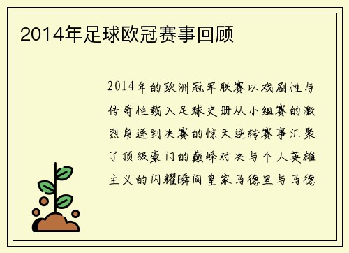 2014年足球欧冠赛事回顾