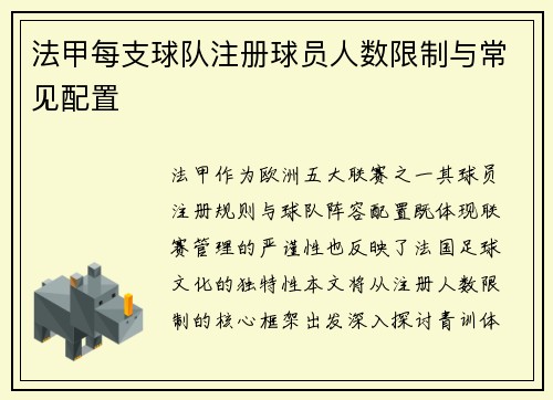 法甲每支球队注册球员人数限制与常见配置